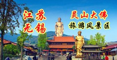 13p美穴江苏无锡灵山大佛旅游风景区